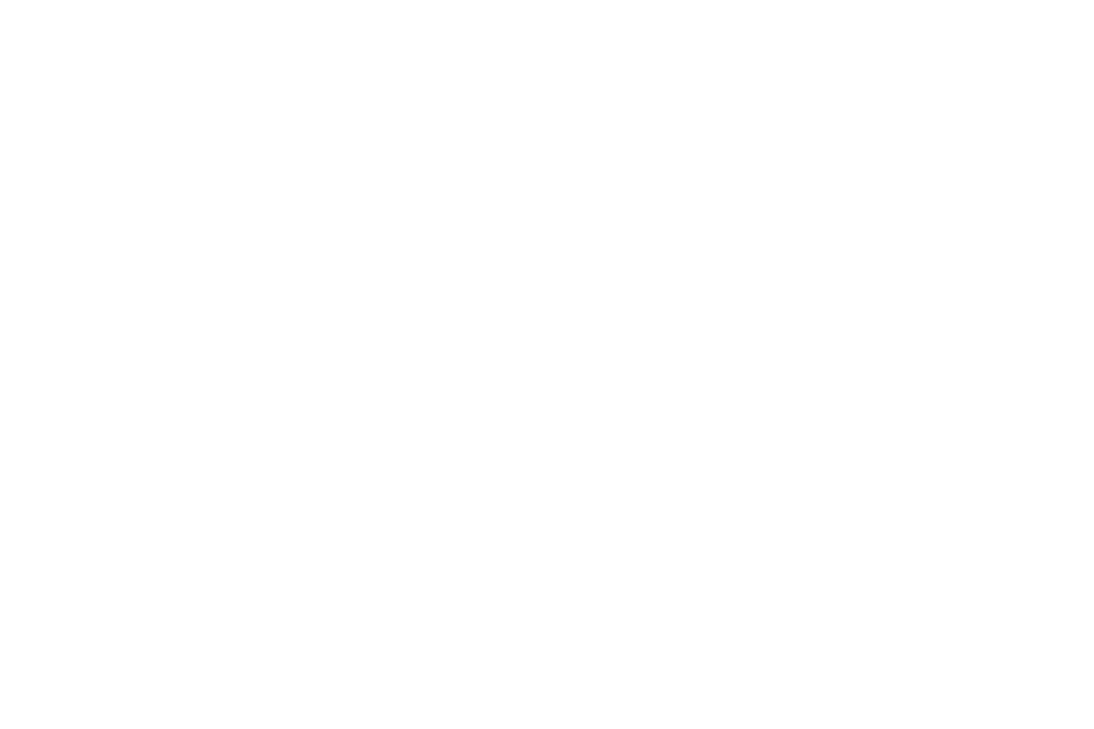 FR Connect Plus